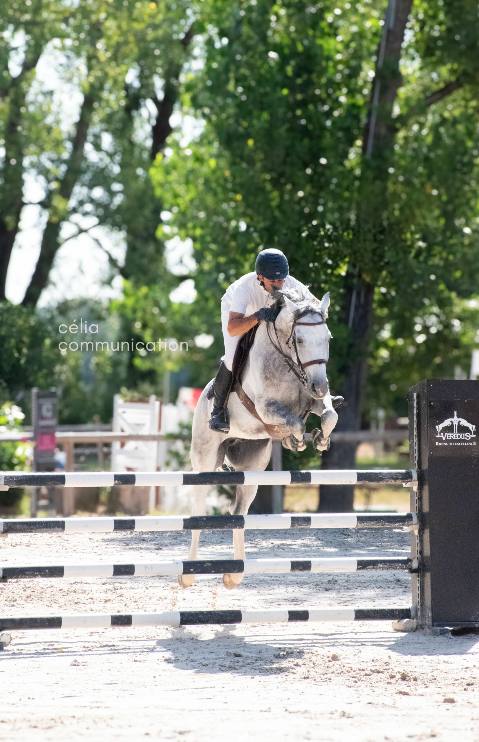 Photographie sportive | Jumping de Montélimar