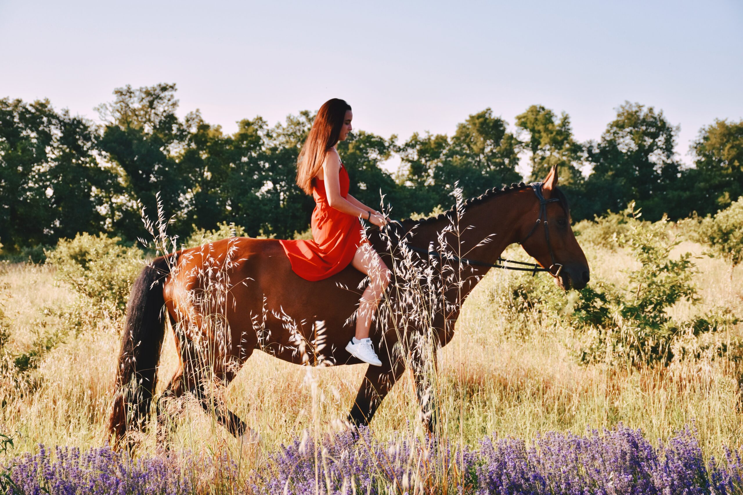 célia sur son cheval